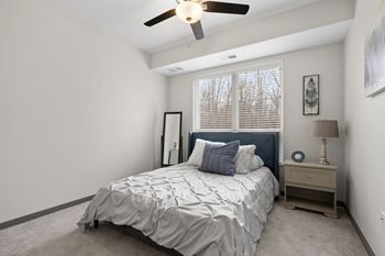 Ceiling fan